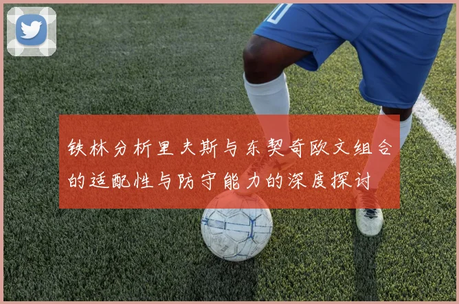 铁林分析里夫斯与东契奇欧文组合的适配性与防守能力的深度探讨