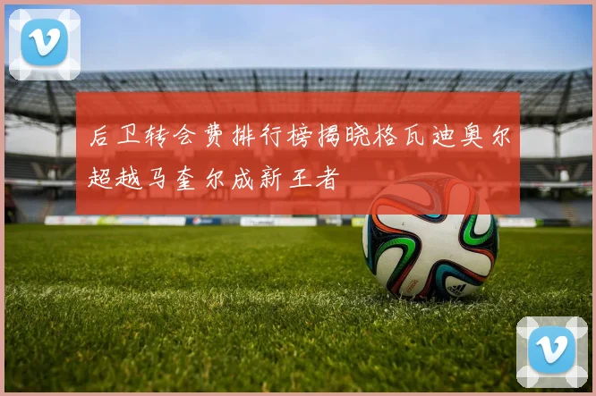 后卫转会费排行榜揭晓格瓦迪奥尔超越马奎尔成新王者