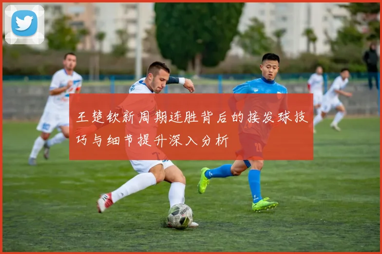 王楚钦新周期连胜背后的接发球技巧与细节提升深入分析